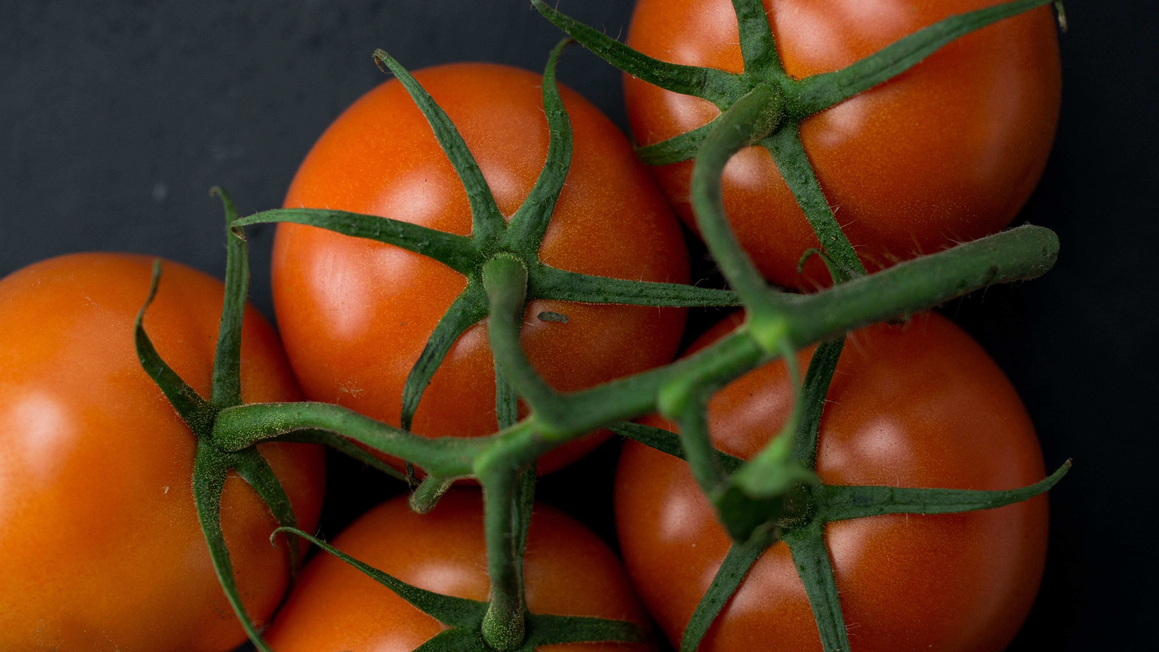 Tomato